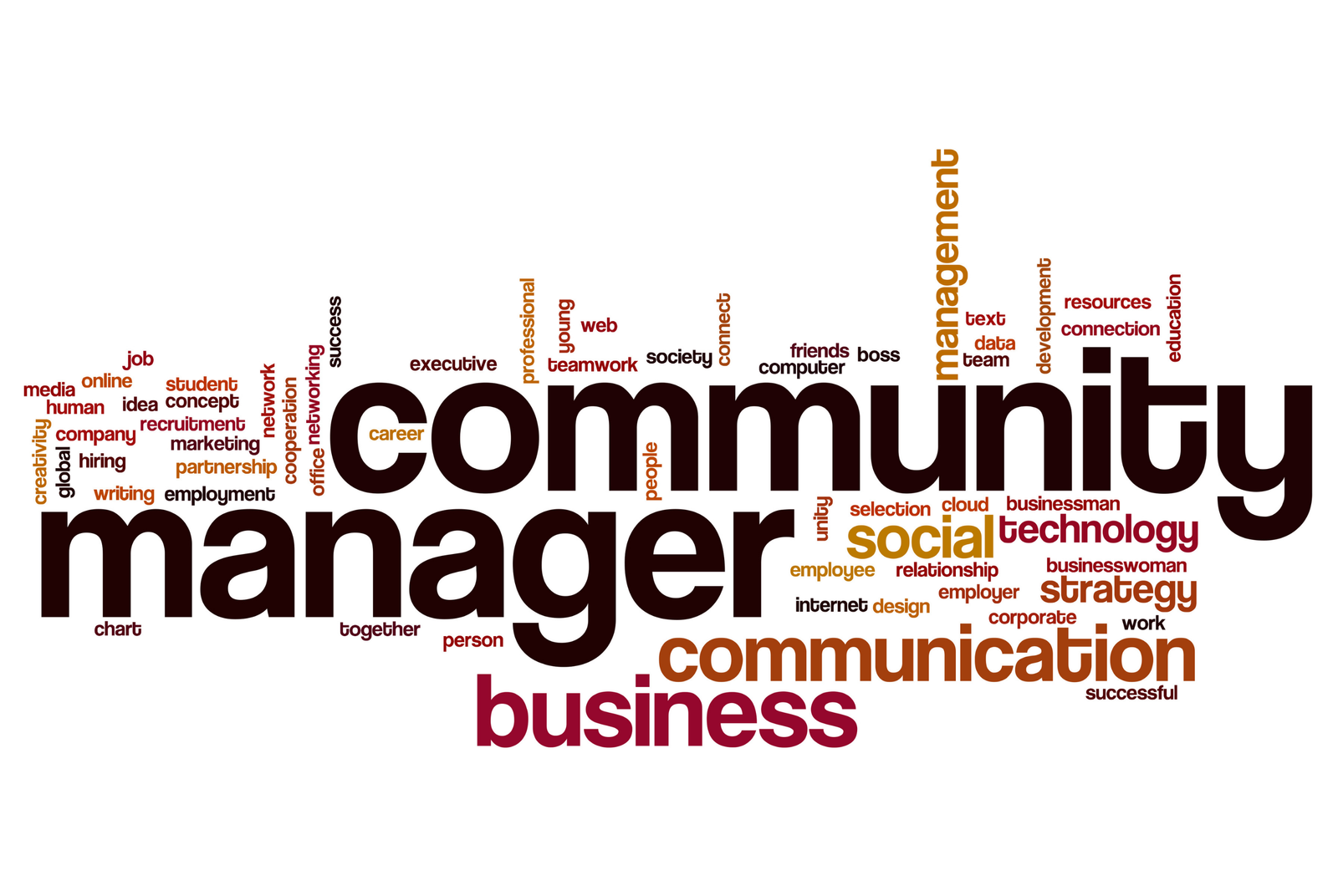 Formation en gestion des réseaux sociaux