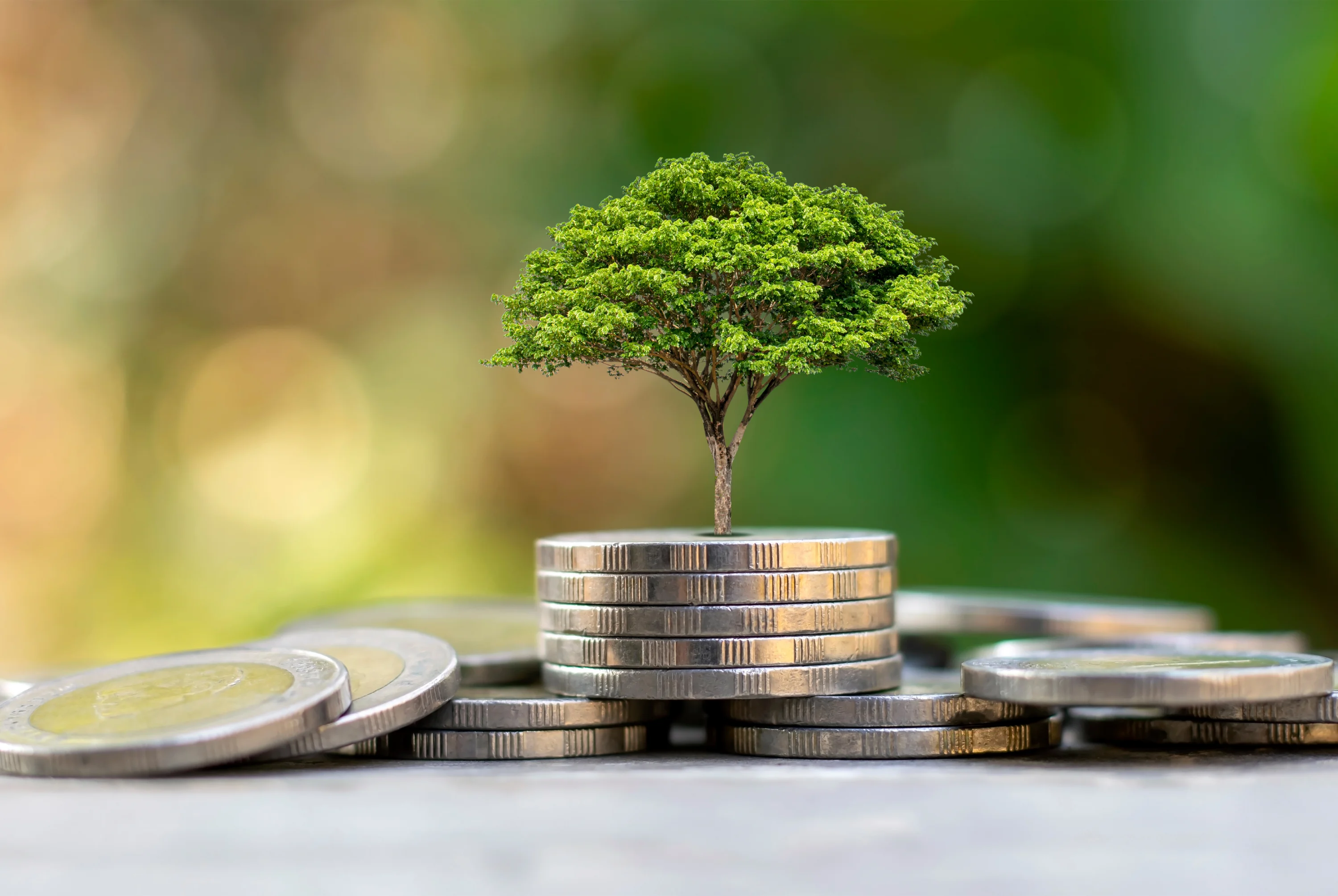 Reconversion dans le secteur de l'environnement Métiers de l'environnement