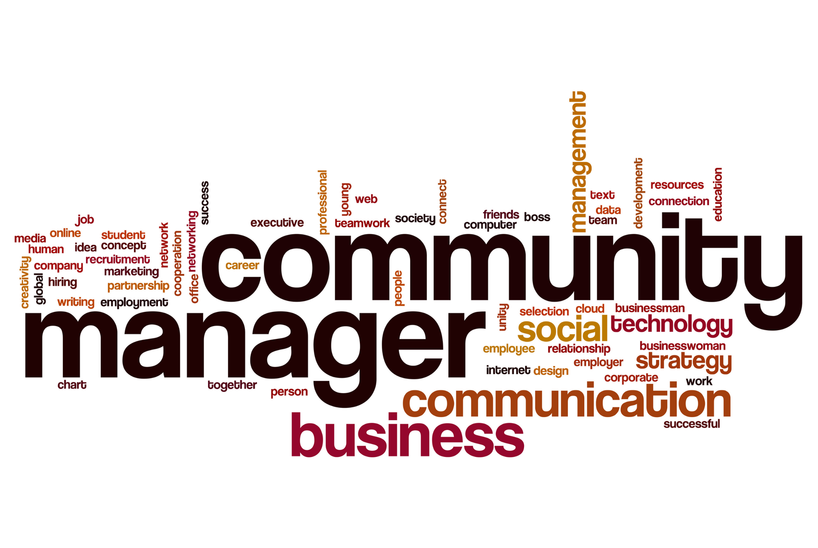 Formation en community management