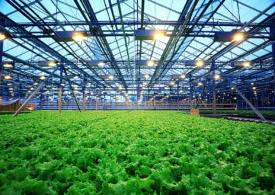 Ingénieur agroalimentaire