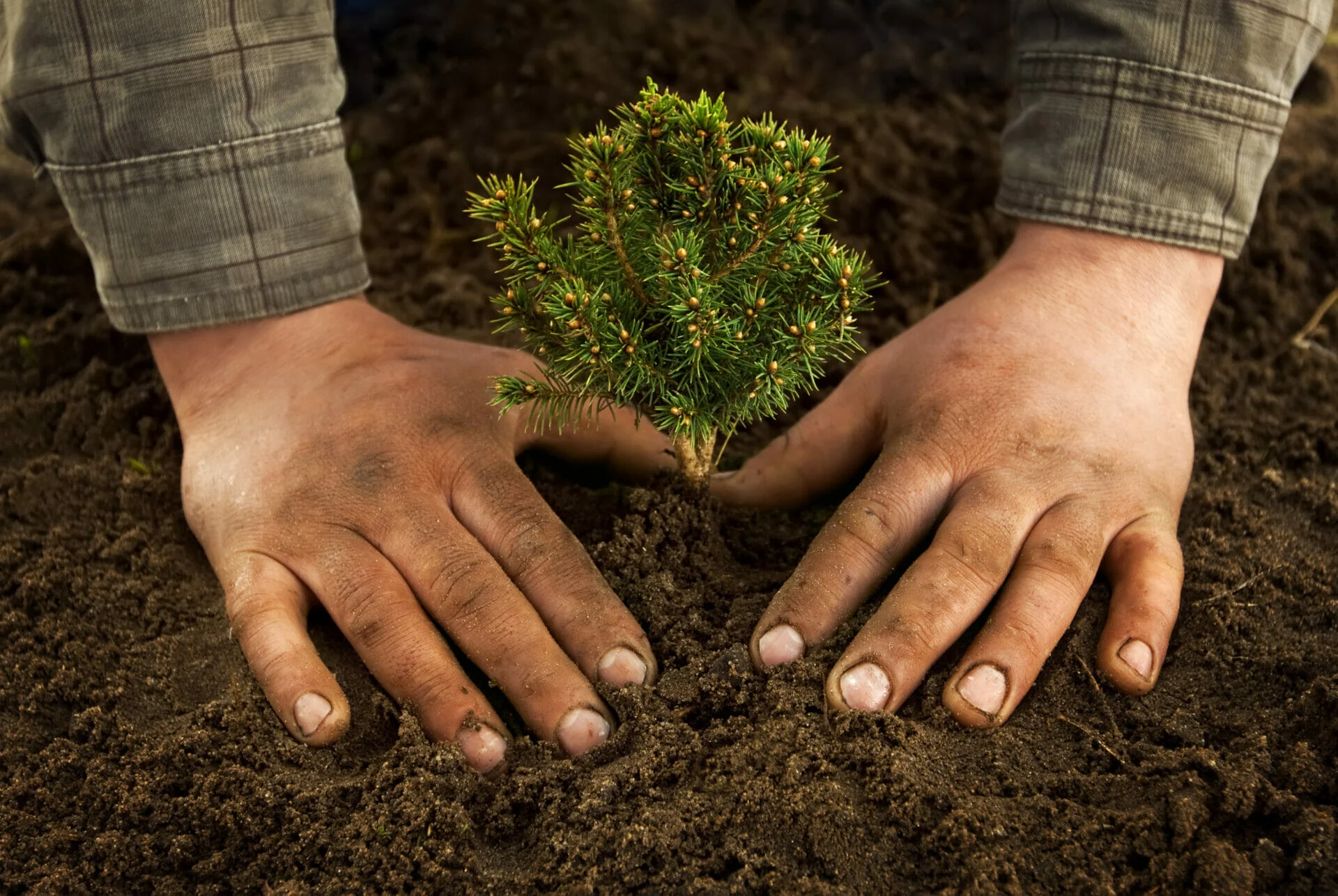 Animateur environnement
