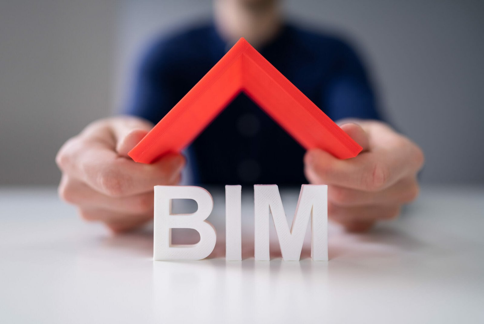 BIM modeler