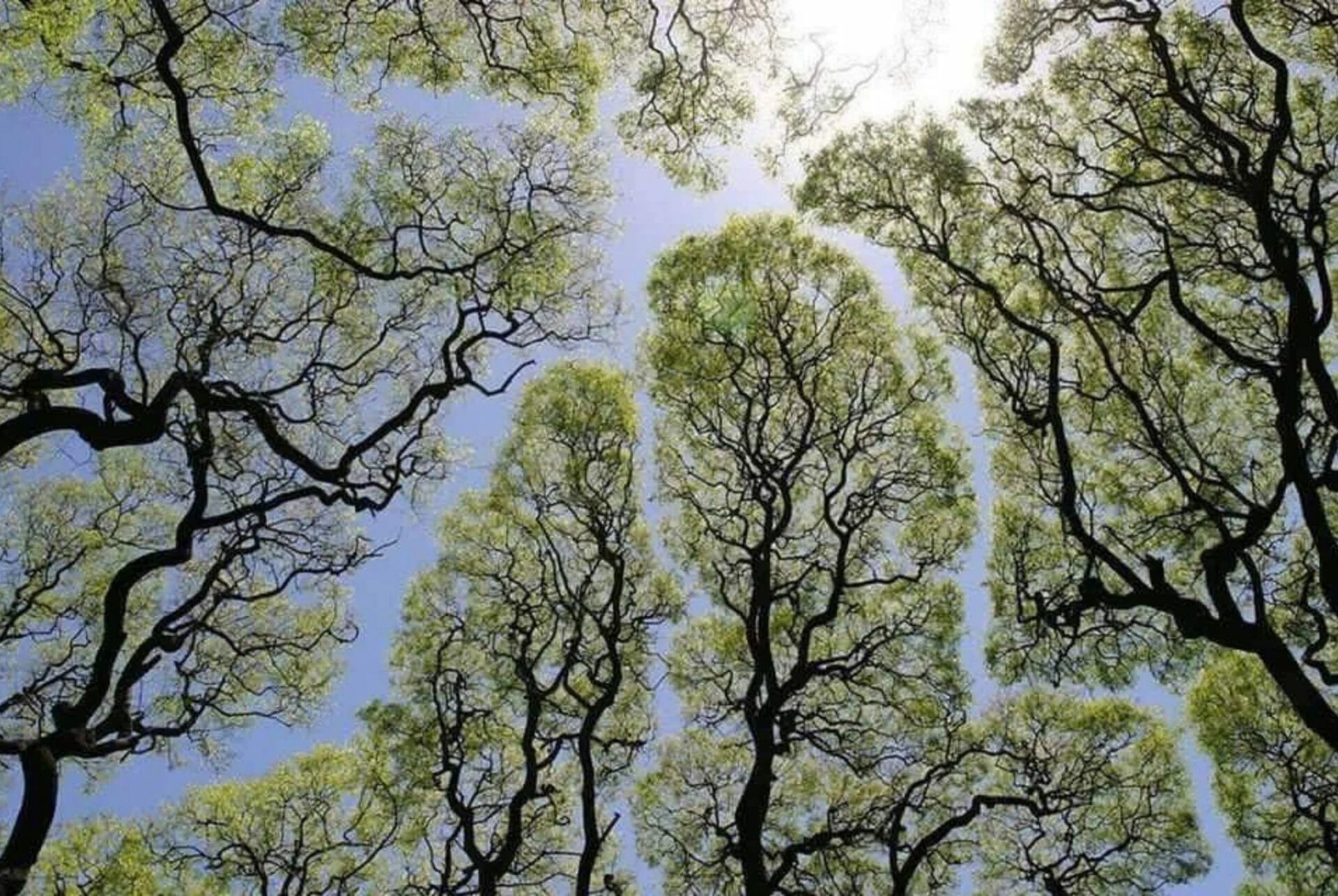 Gardien de Nature