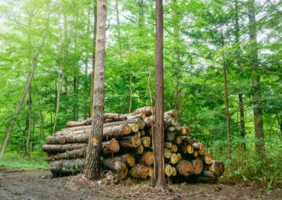Conducteur d&rsquo;engins forestiers