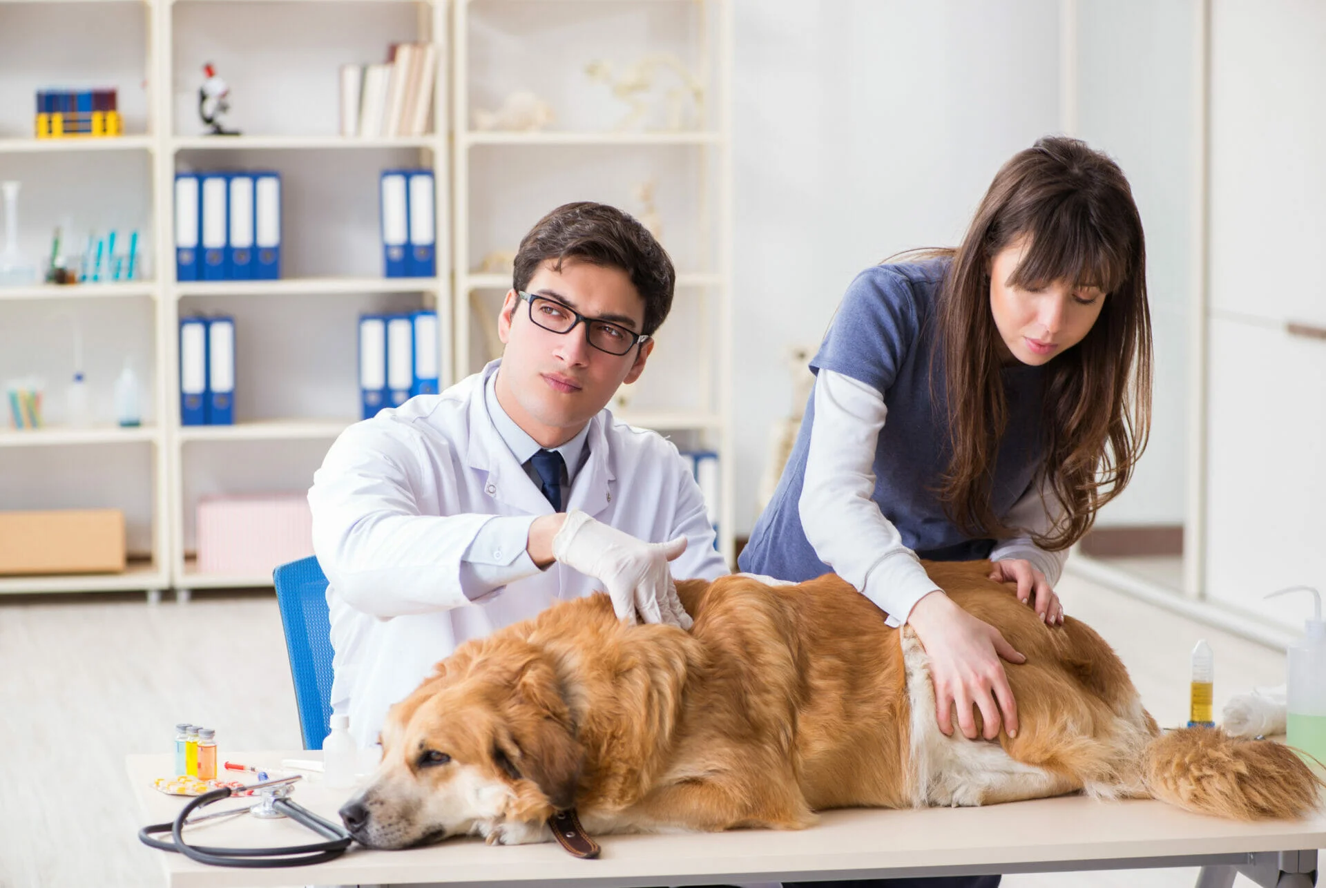 Assistant de régulation médicale