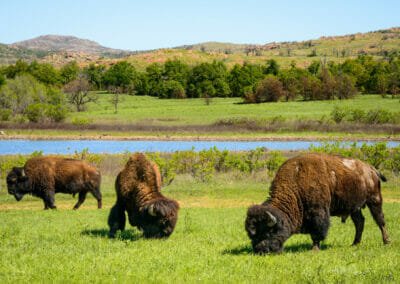 Gardien de Refuge de Montagne