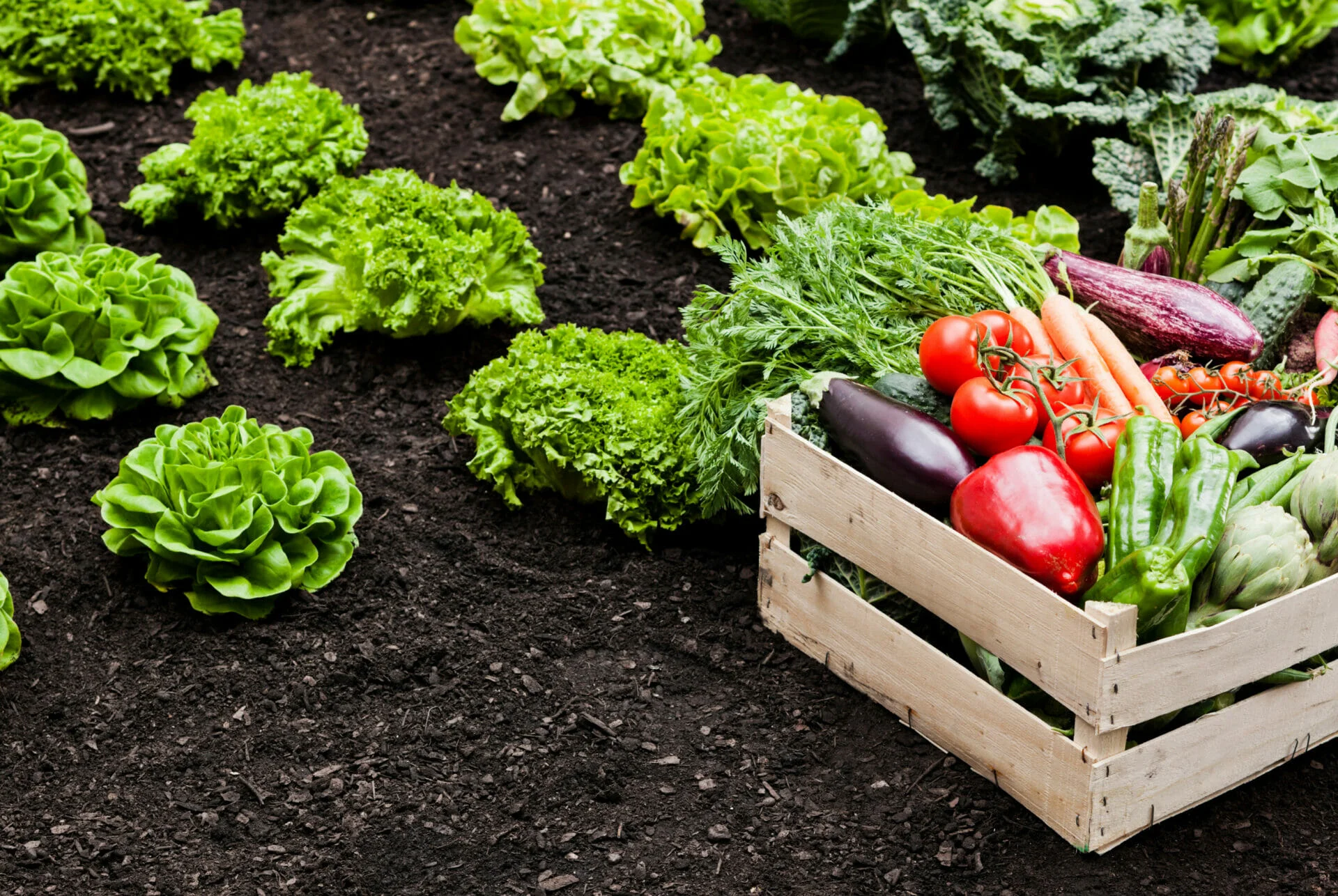 Conseiller agricole