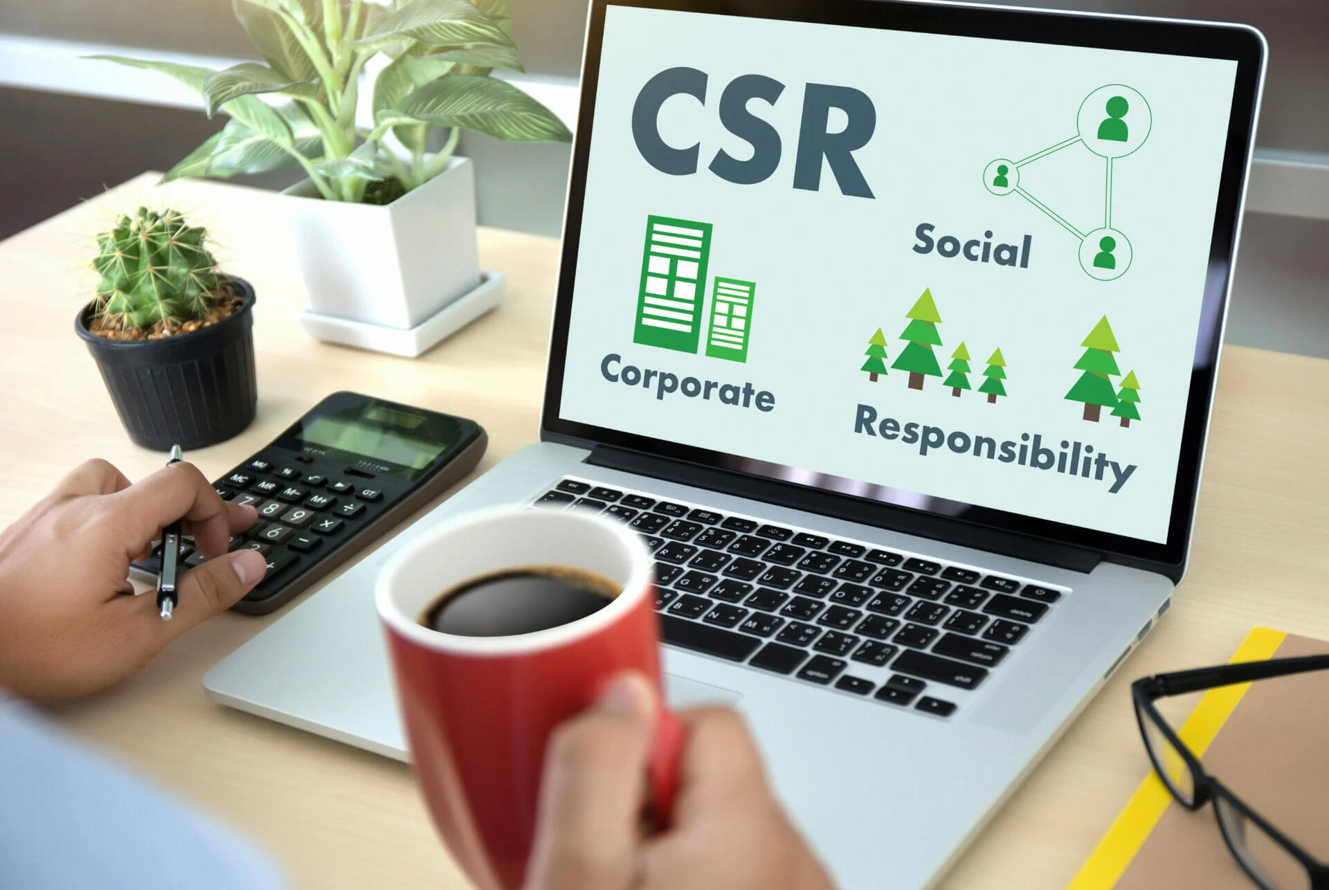 Responsable de la Responsabilité Sociale des Entreprises et du Développement Durable