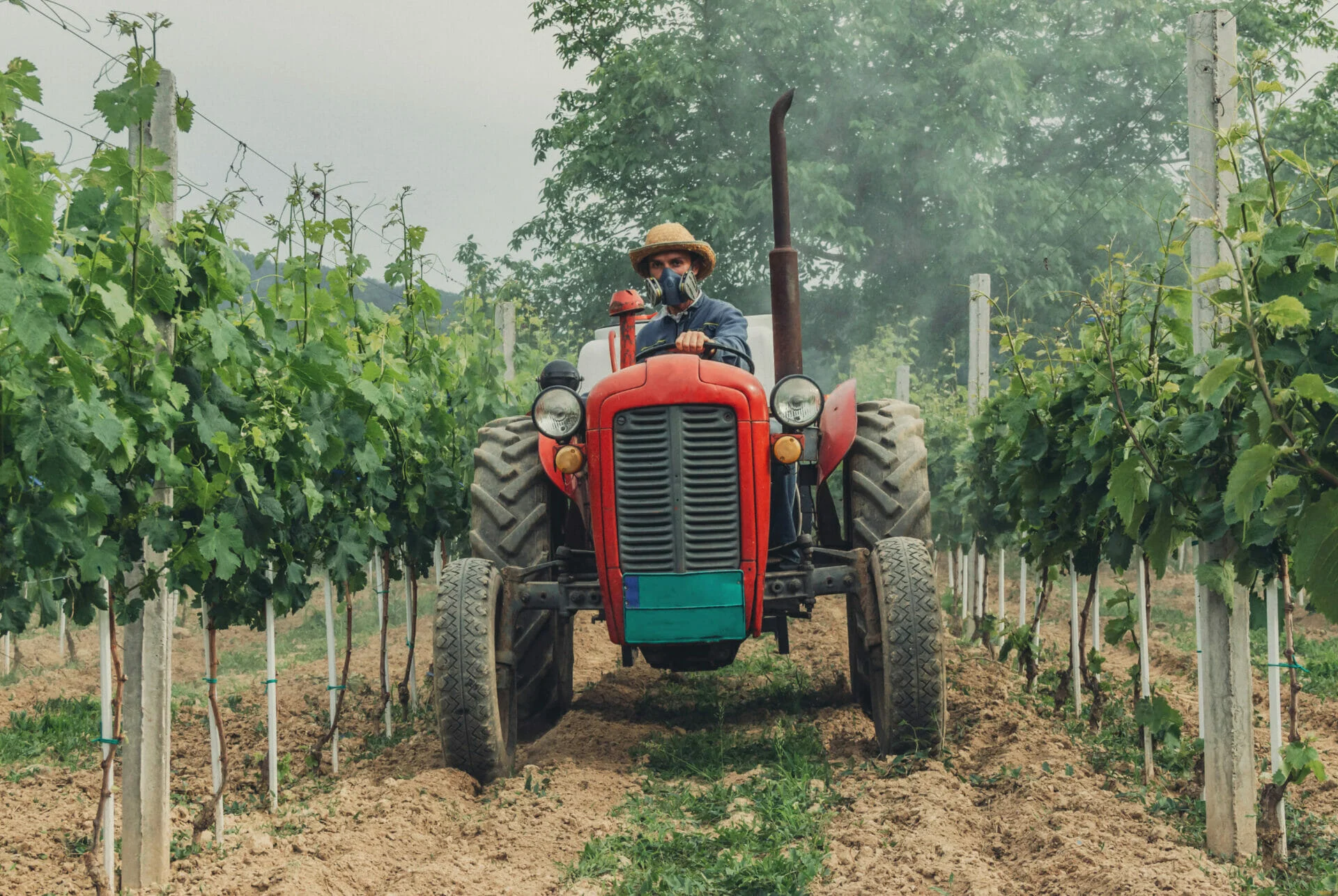 Ouvrier viticole tractoriste