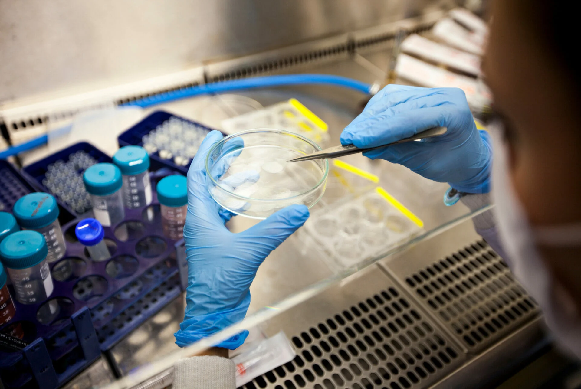 Microbiologiste