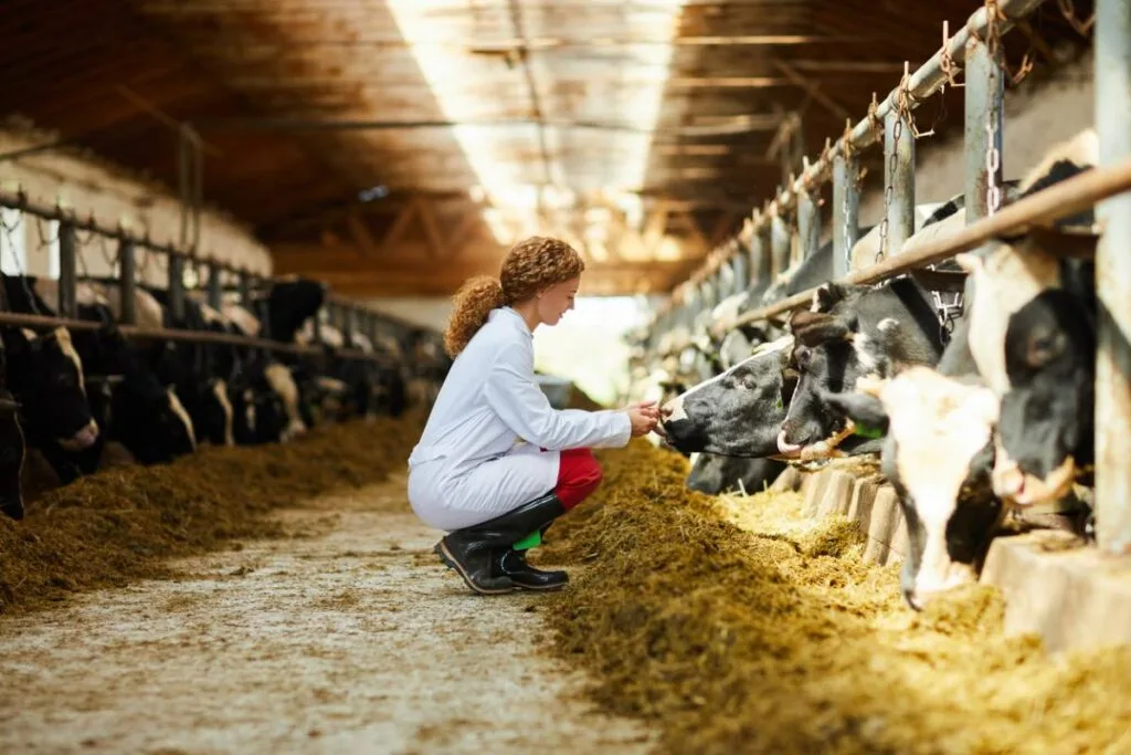 top 4 des metiers du secteur animalier qui recrutent le plus